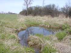 Traver Creek Sample Collection Site beside US23, 10 April 2010.